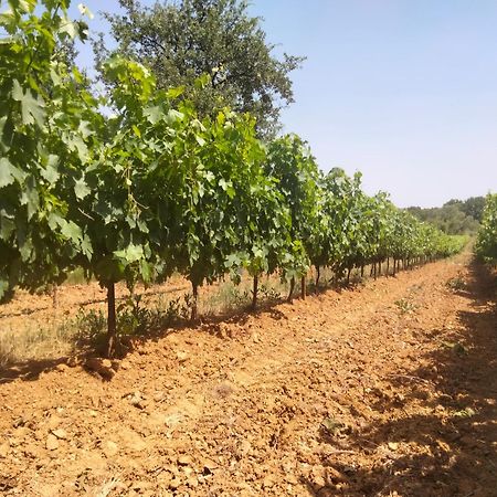 La Cabane En Bois Tourves Εξωτερικό φωτογραφία