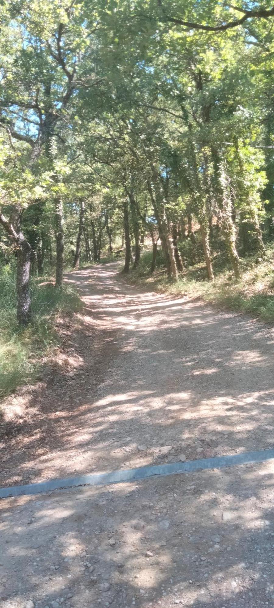 La Cabane En Bois Tourves Εξωτερικό φωτογραφία