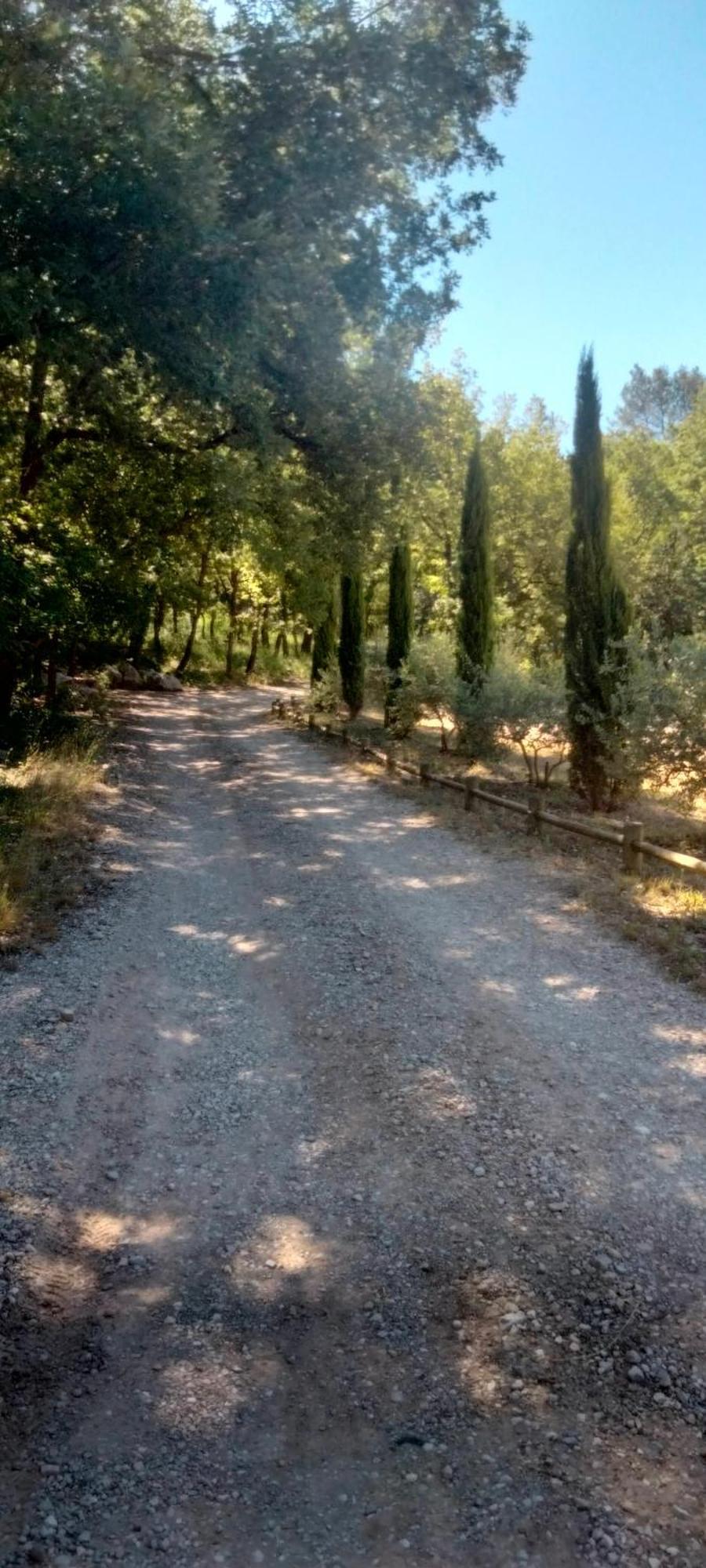 La Cabane En Bois Tourves Εξωτερικό φωτογραφία