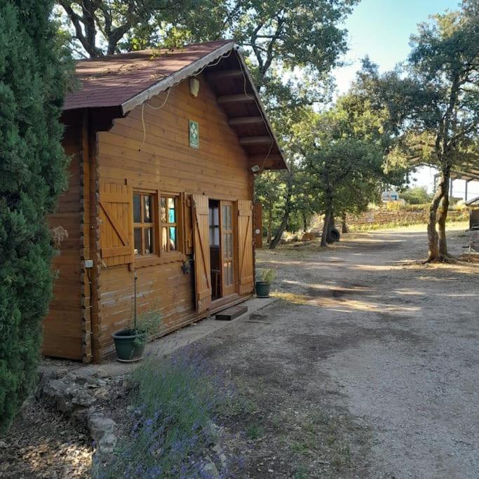 La Cabane En Bois Tourves Εξωτερικό φωτογραφία