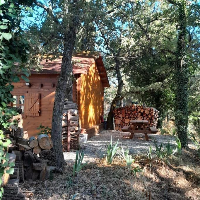 La Cabane En Bois Tourves Εξωτερικό φωτογραφία